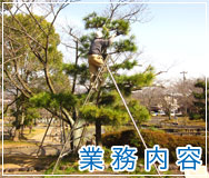 業務内容